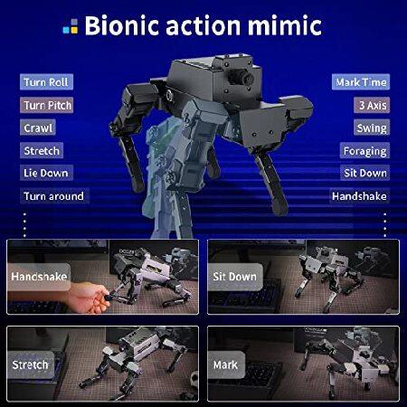 AIロボット犬 ラズベリーパイ Amazon.co.jp | XiaoR GEEK 四足歩行バイオニックロボット犬