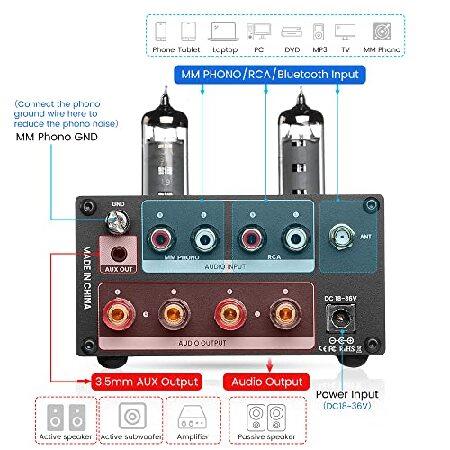 AIYIMA T5 真空管アンプ AIYIMA T5 320W Tube Phono Turntable Amplifier ＆ 2.0 Channel