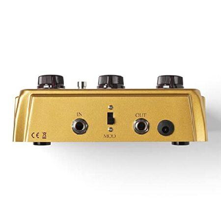 Warm Audio Centavo Professional オーバードライブペダル : World 