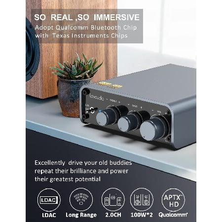 Lavaudio DS300 Bluetooth 5.1 Amplifier Receiver Home Stereo System Components - Mini Hi-Fi Class D Integrated Amp 2 Channel 100W×2 for Home Theater A｜wolrd｜02