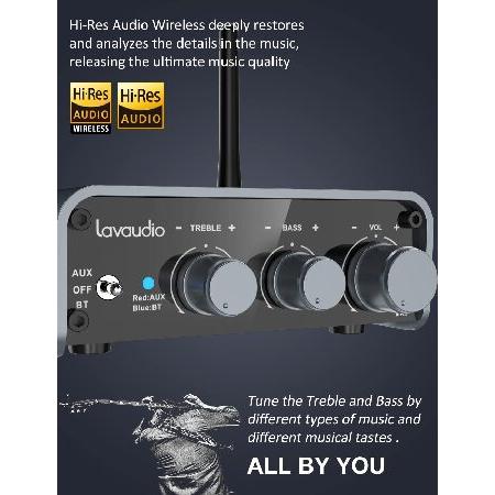 Lavaudio DS300 Bluetooth 5.1 Amplifier Receiver Home Stereo System Components - Mini Hi-Fi Class D Integrated Amp 2 Channel 100W×2 for Home Theater A｜wolrd｜03