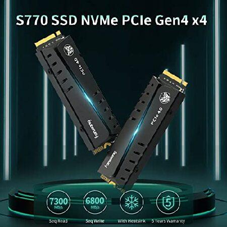 fanxiang S770 1TB PCIe 4.0 NVMe M.2 SSD Internal Solid State Drive - with Heatsink, Configure DRAM and Dynamic SLC Cache, Up to 7300MB/s, Compatible w｜wolrd｜02