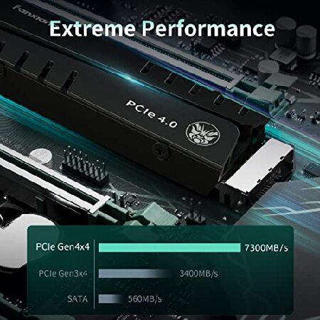 fanxiang S770 1TB PCIe 4.0 NVMe M.2 SSD Internal Solid State Drive - with Heatsink, Configure DRAM and Dynamic SLC Cache, Up to 7300MB/s, Compatible w｜wolrd｜03