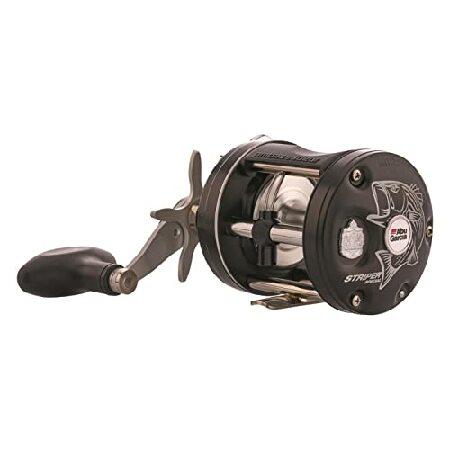 Abu Garcia C3 Striper Special Round Reel - 6500 : World Importer 
