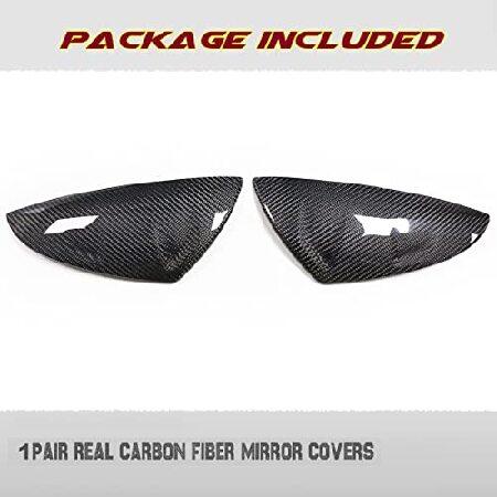 油彩 彩リ（コスモス)SM 洋画家 池畠 史幸 新作真筆画