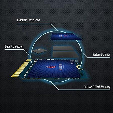 GAMERKING 512GB M.2 2230 SSD NVMe PCIe Gen 3.0X4 内蔵ソリッド