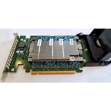 Dell Ultra-Speed Drive Quad NVMe M.2 PCIe x16 SSD Advanced Dell Ultra-Speed Drive Quad NVMe M.2 PCIe x16 SSD Advanced