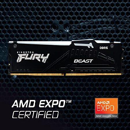 ブランド登録なし Kingston (キングストン) FURY Beast (フューリー 