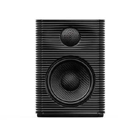 fiio SP3 フィーオ アクティブスピーカー FIIO SP3 ハイファイ アクティブデスクトップスピーカー (ブラック