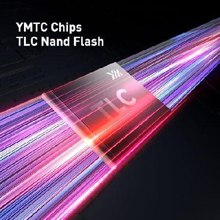 MOVE SPEED 2TB PCle 4.0 NVMe SSD M.2 最大7450MB/秒読み取り