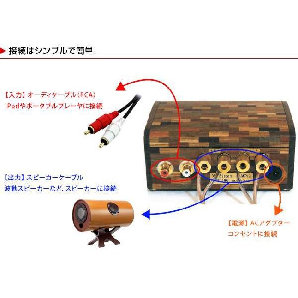 M'S System エムズシステム MSオリジナルアンプ MS-Amp08 : rish