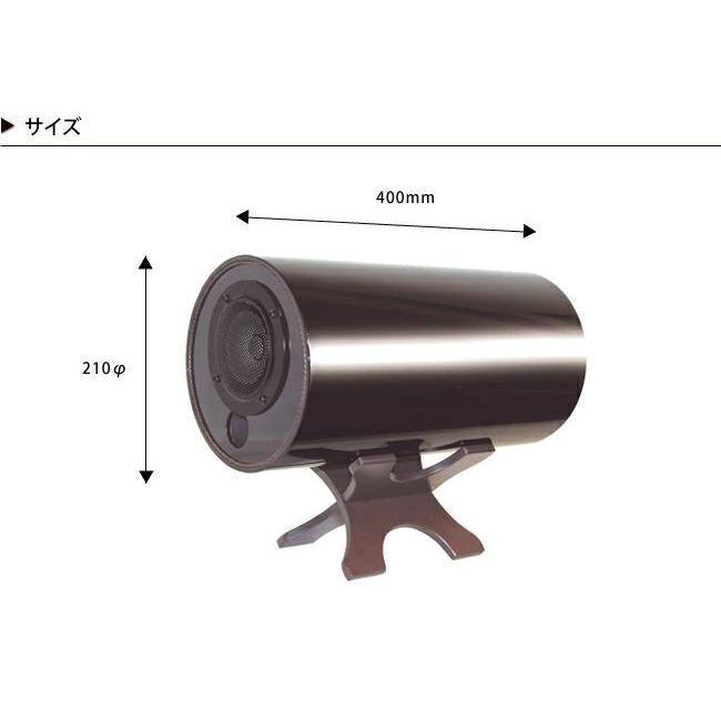 【日本未発売】 MS System エムズシステム 波動スピーカー ピアノ ピアノブラック塗装 MS1001-Piano 【FKP2935269321】(106920円)