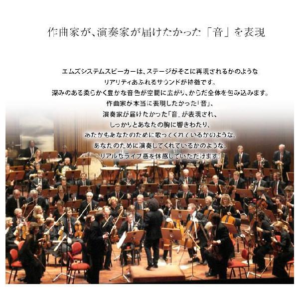M'S System エムズシステム 波動スピーカー ピアノ ピアノホワイト塗装