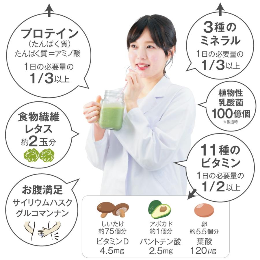 わたしのプロテインダイエット×完全置換 63食 セット ダイエット