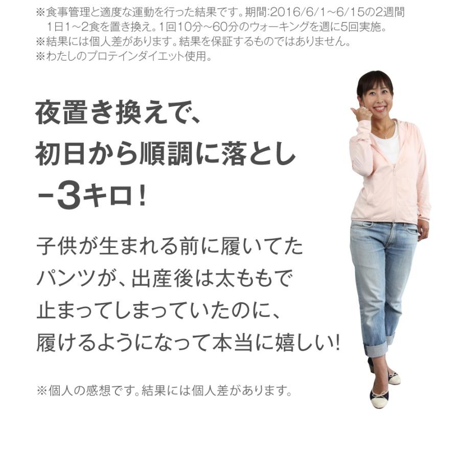 わたしのプロテインダイエット×完全置換 63食 セット ダイエット