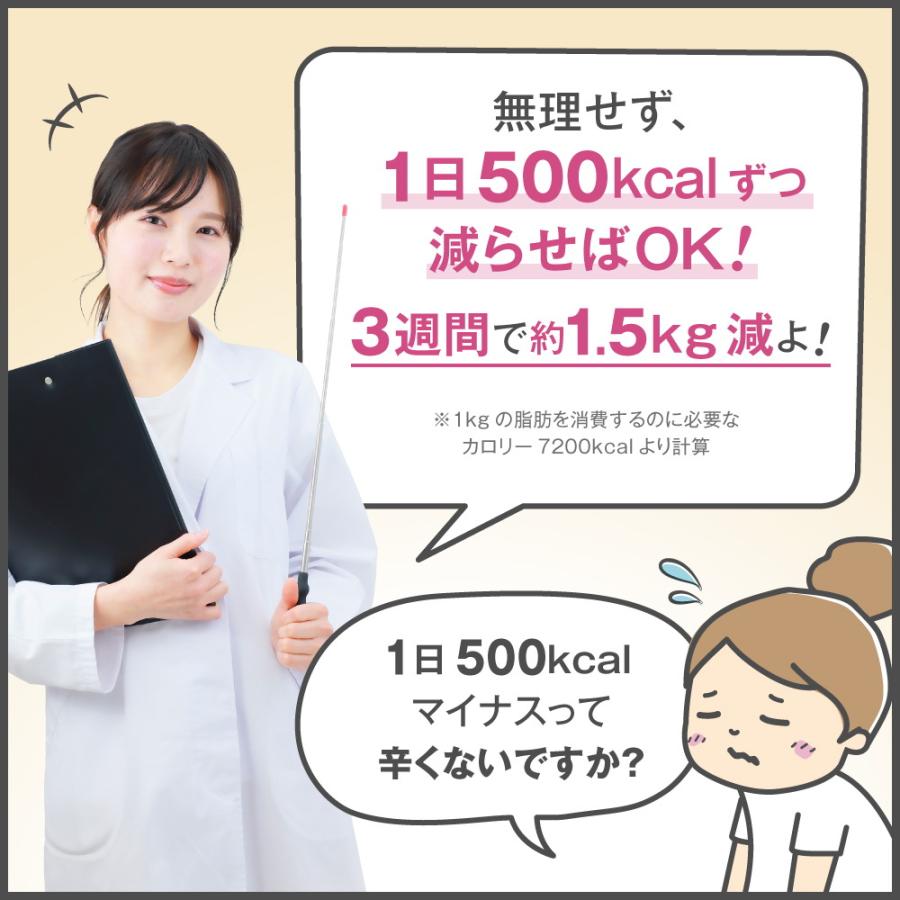 わたしのプロテインダイエット×完全置換 63食 セット ダイエット