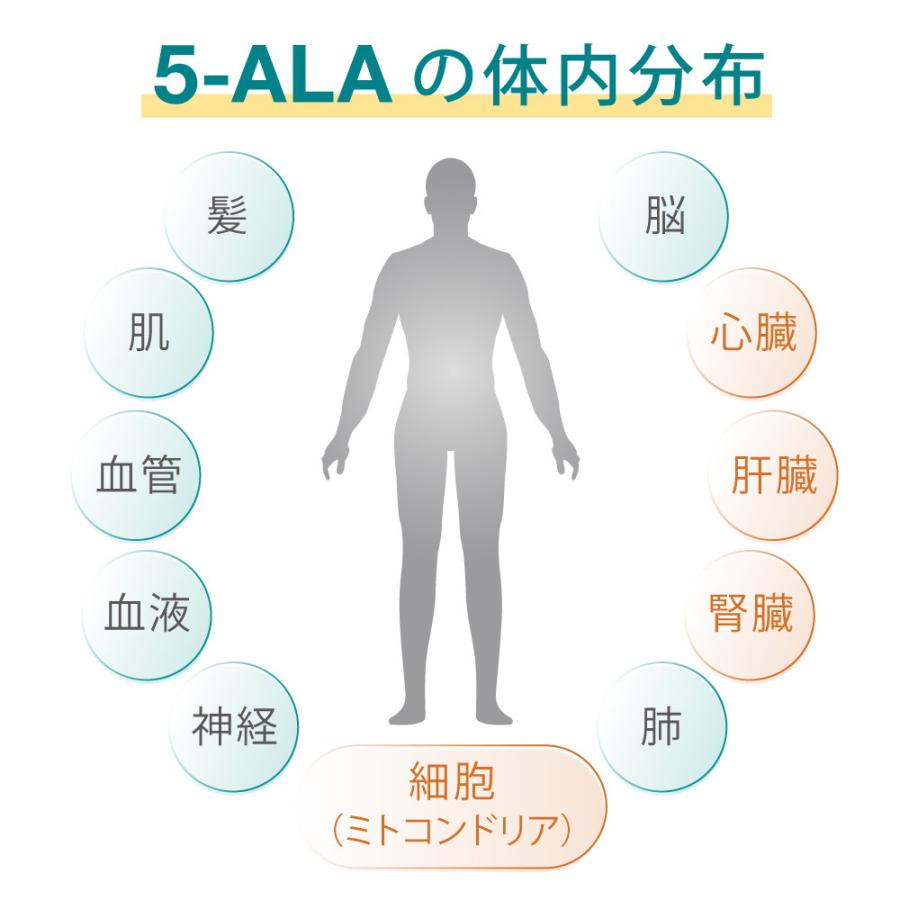 キヤンファーマ(旧ネオファーマジャパン)最新製品 5-ALA 50mg アミノ酸 二酸化チタン不使用 遮光性に優れた植物性ブラウンカプセル 60粒 (60日分)×5 正規品｜womenjapan｜12