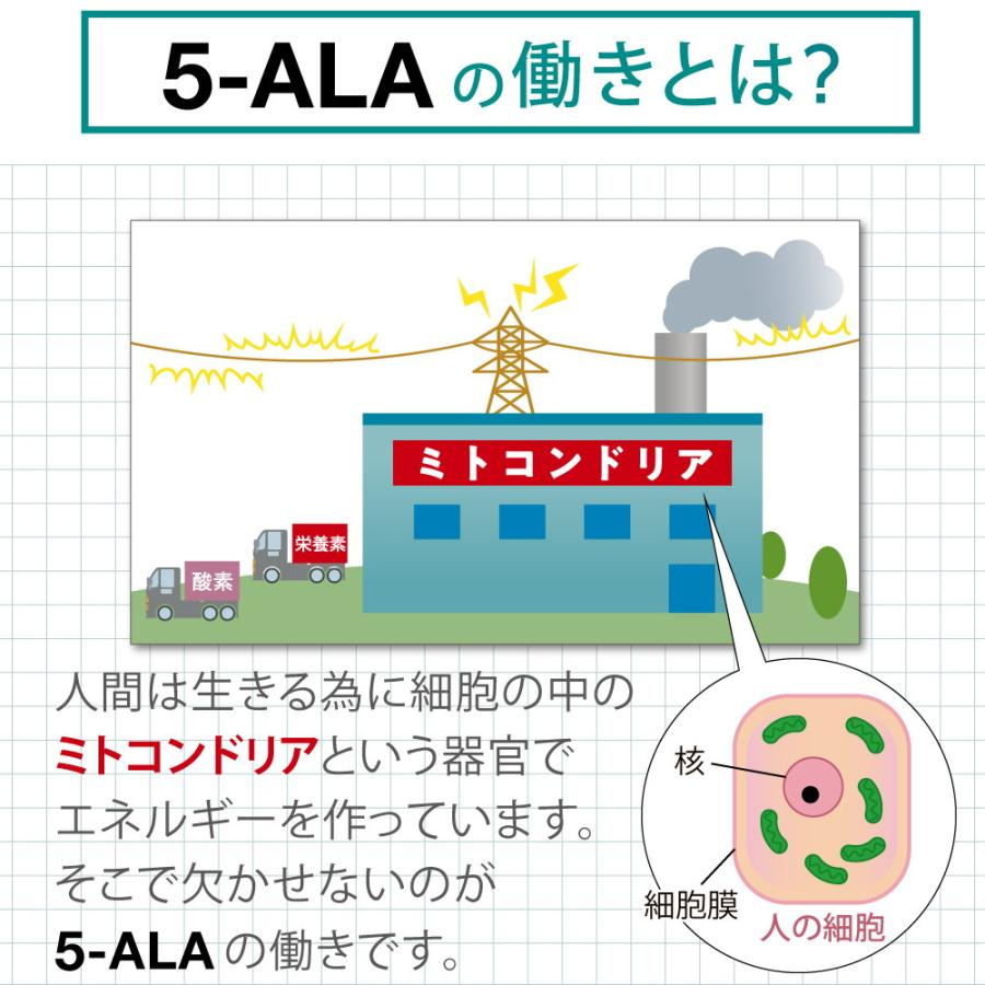 キヤンファーマ(旧ネオファーマジャパン)最新製品 5-ALA 50mg アミノ酸 二酸化チタン不使用 遮光性に優れた植物性ブラウンカプセル 60粒 (60日分)×5 正規品｜womenjapan｜08