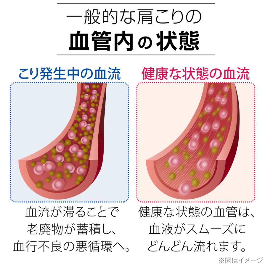 選べる２本セット 特別価格！送料無料 ギフト ファイテン RAKUWA磁気チタンネックレス X10 肩こり・首こり 装着部位のこり及び血行の改善｜womenjapan｜12