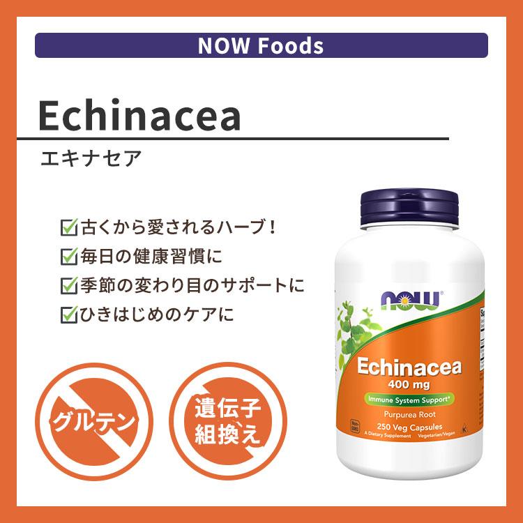 NOW Foods（ナウフーズ） エキナセア 400mg 250粒 NOW Foods Echinacea