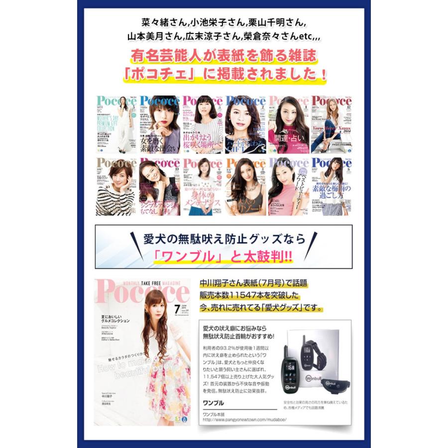 ワンブル「リニューアルモデル」|wonbull|12