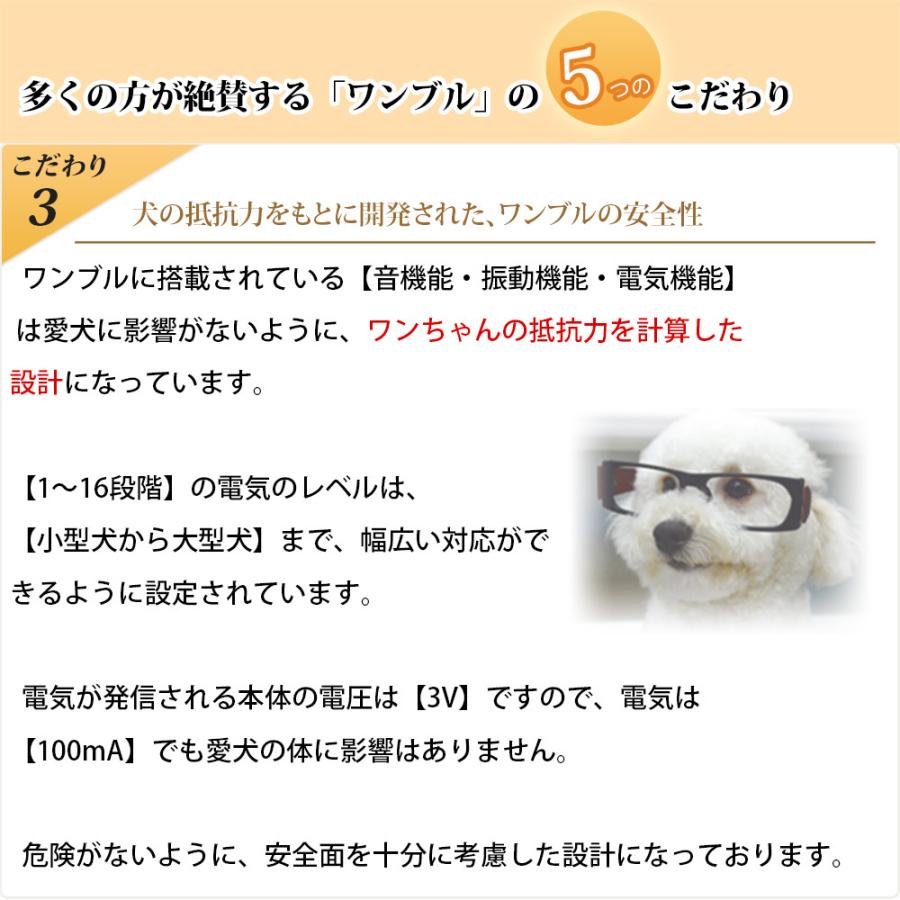 ワンブル「リニューアルモデル」|wonbull|06