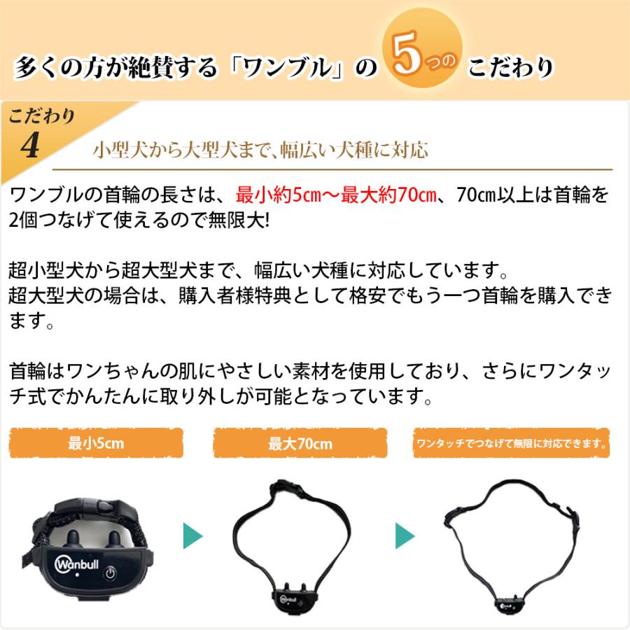 ワンブル「リニューアルモデル」|wonbull|07