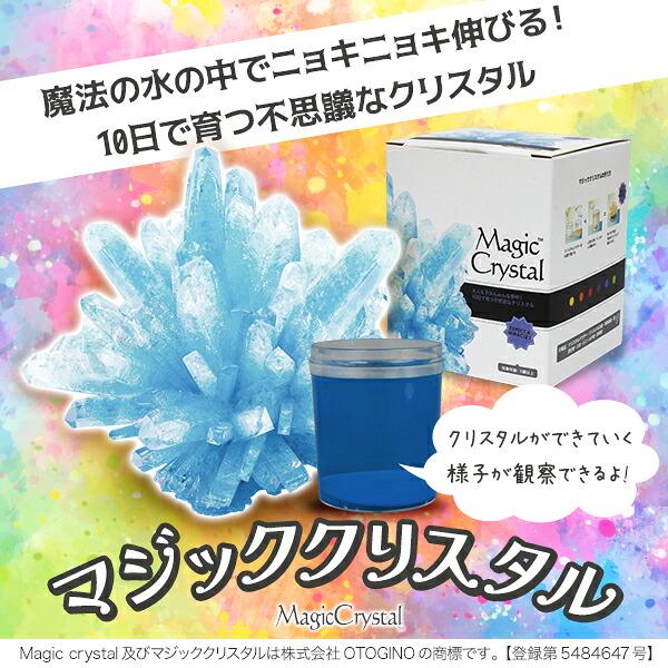 まとめ買い20％OFFクーポン マジッククリスタル 10日で育つ不思議な