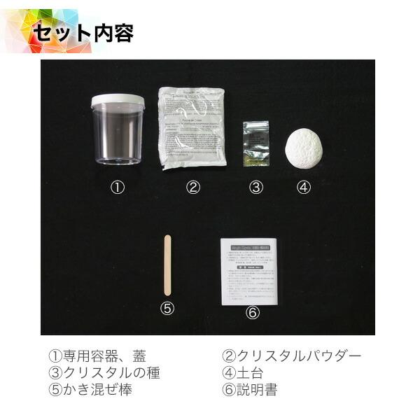 まとめ買い20％OFFクーポン マジッククリスタル 10日で育つ不思議な