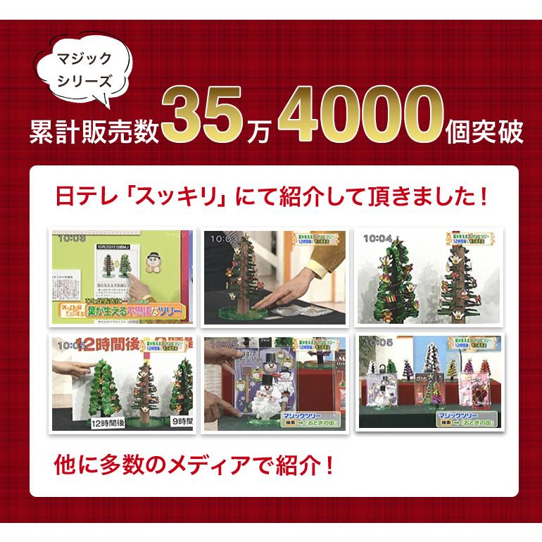 マジッククリスマスツリー  20時間で育つ不思議なクリスマスツリー  ラージタイプ｜wondefulplace｜02