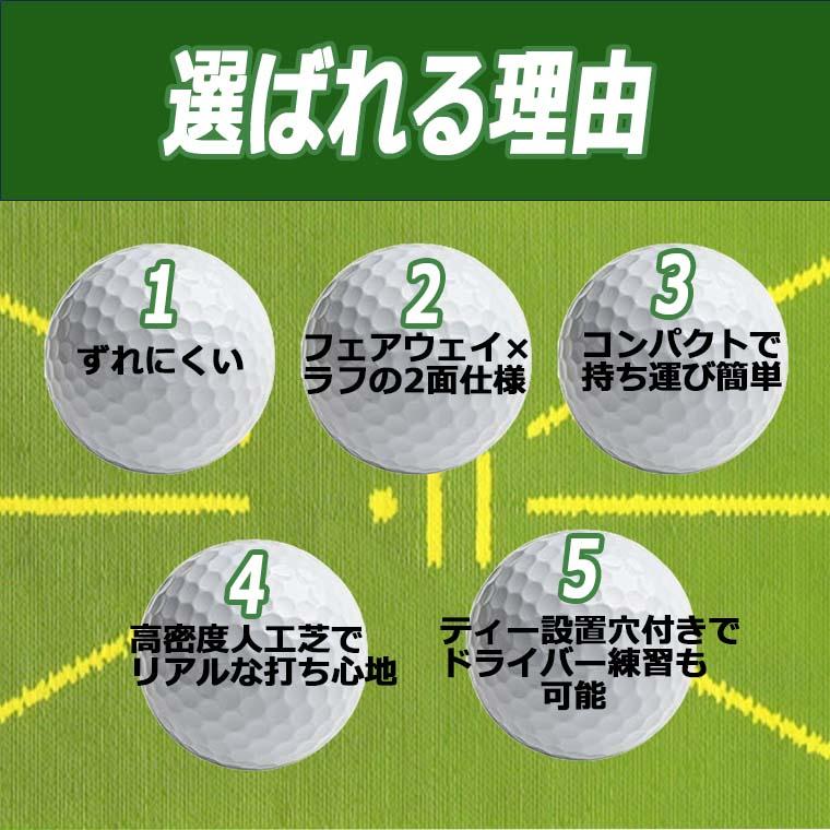 2WAYゴルフ練習マット ゴルフマット 練習用 人工芝 フェアウェイ ラフ