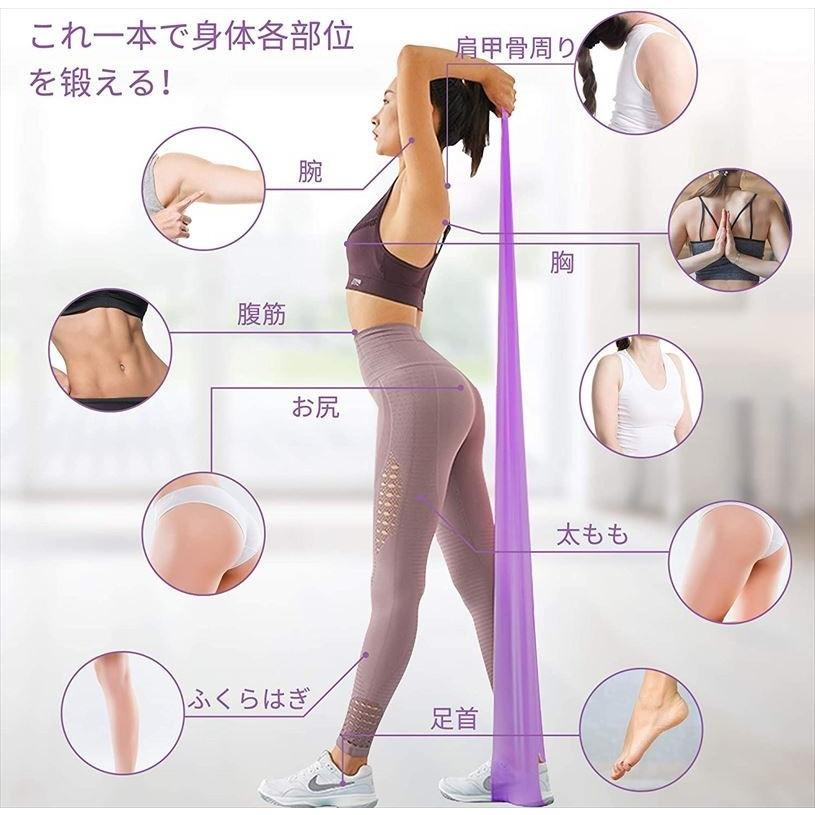 ストレッチバンド エクササイズ バンド チューブ 筋トレ トレーニング