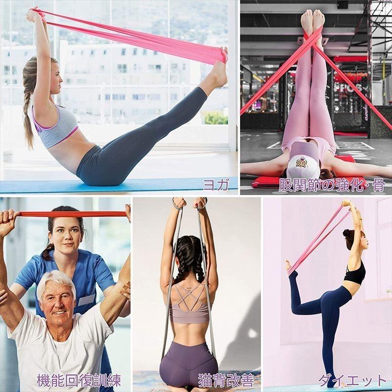 ストレッチバンド エクササイズ バンド チューブ 筋トレ トレーニング