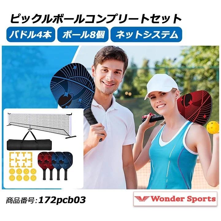 ピックルボールネットセット ポータブルネットシステム 公式サイズ