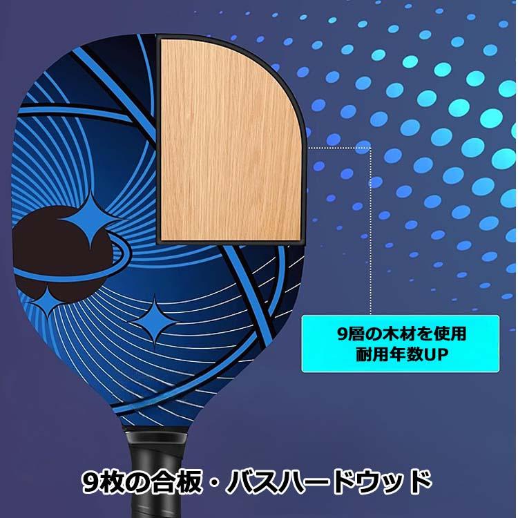 ピックルボールネットセット ポータブルネットシステム 公式サイズ