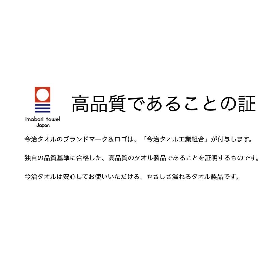 今治タオル 今治タオルブランド タオルケット ブルー グリーン 今治タオル 今治タオルブランド タオルケット ブルー グリーン
