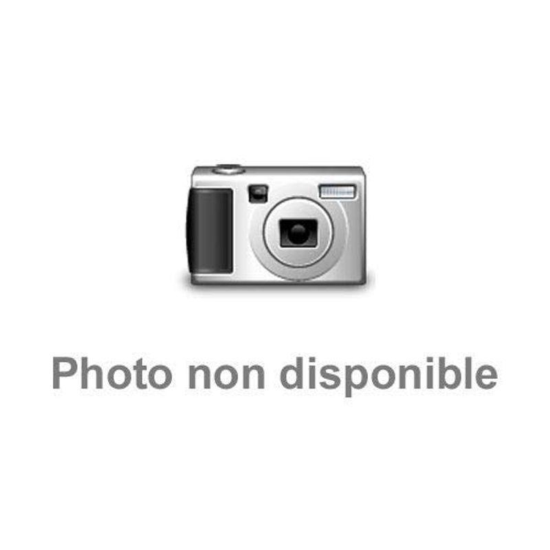直販特注品 ダイワ Daiwa 振出投げ竿 プライムサーフt W 33 405 W 釣り竿 売れ筋 Www Superavila Com