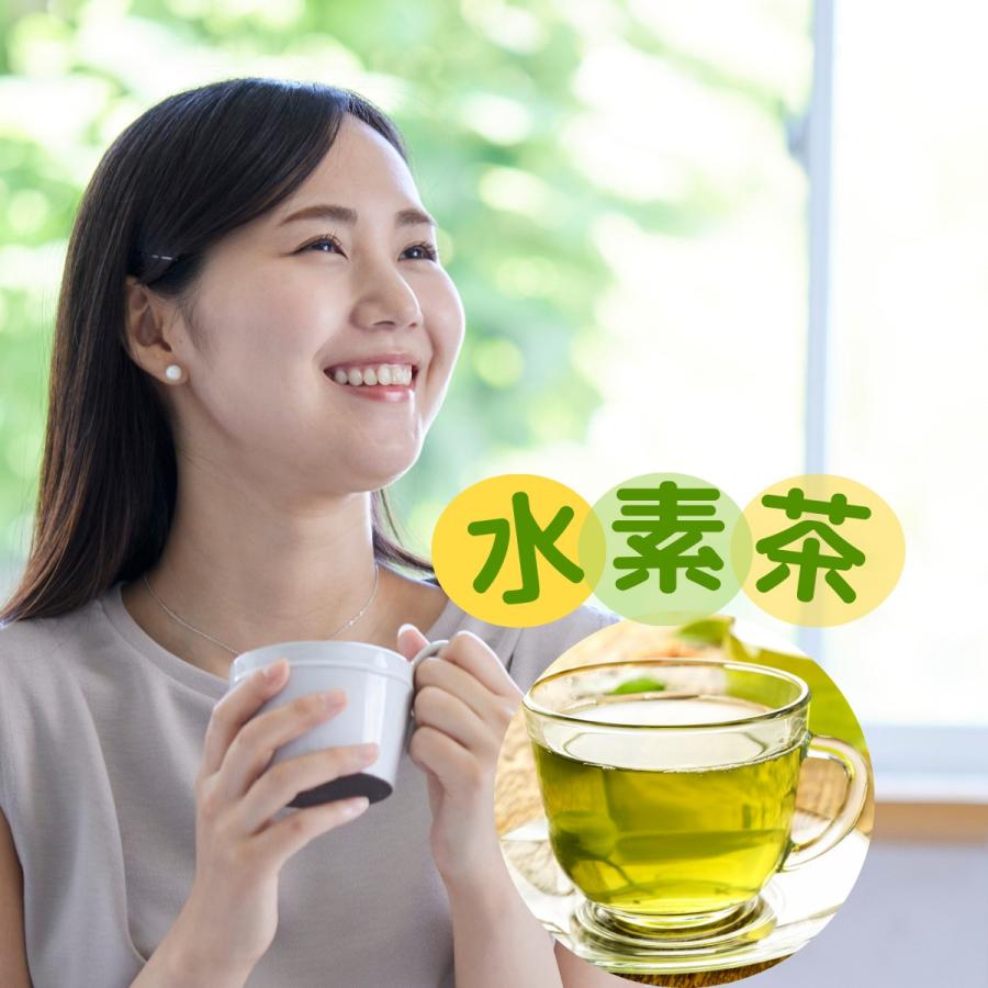 低電位水素茶製造ボトル「還元くん4」1本「元」+DVDサービス 低電位水素茶製造ボトル「還元くん4」1本「元」+DVDサービス