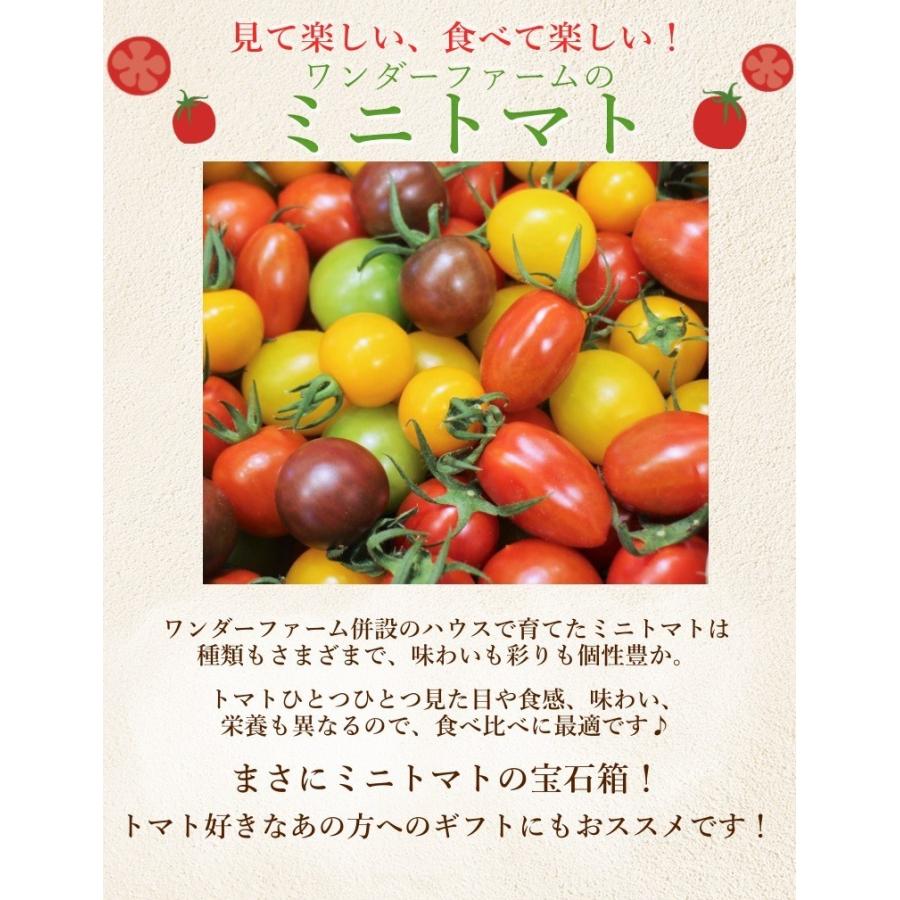 ミニトマトミックス 1 7kg詰め トマトの宝石箱 お取り寄せ野菜 ワンダーファーム 贈答 Minitomato Hako ワンダーファーム 通販 Yahoo ショッピング