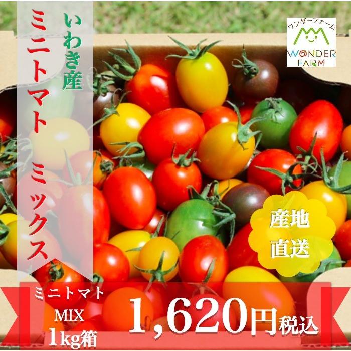 ミニトマト 贈答 ミニトマトミックス1kg詰め 流行 トマトの宝石箱 ストアー ワンダーファーム お取り寄せ野菜