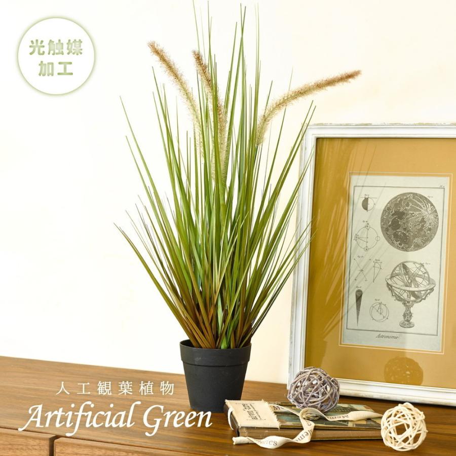 Mサイス 約122cm キャッツテールグラス 光触媒加工 人工観葉植物 アーティフィシャルグリーン 玄関 お部屋の臭いや有機物を分解する作用 空気清浄機替わりに ワンダフルマートヤフー店 通販 Yahoo ショッピング