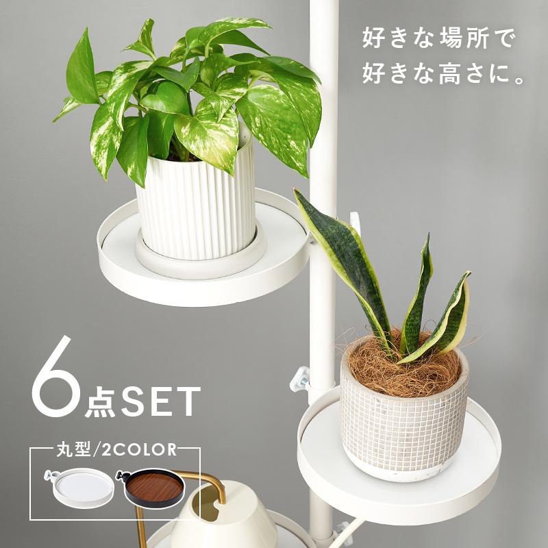 米国WHELEN 社製サイレンアンプ&ライトコントローラー付き295SLSA6 米国WHELEN 社製サイレンアンプ&ライトコントローラー付き