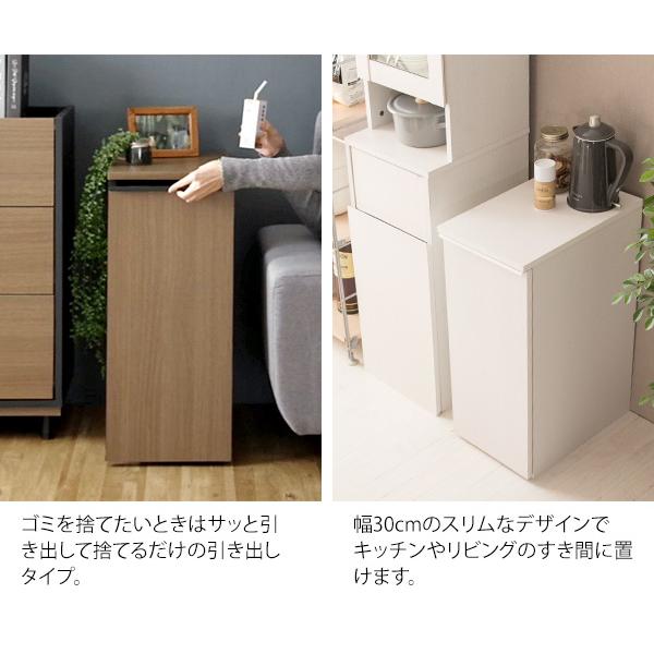 ダストボックス キッチンペール ドロワーダストボックス 幅30 45リットル ごみ箱 ゴミ箱 キッチン 木目 リビング キャスター付き 目隠し 棚付き |  | 13