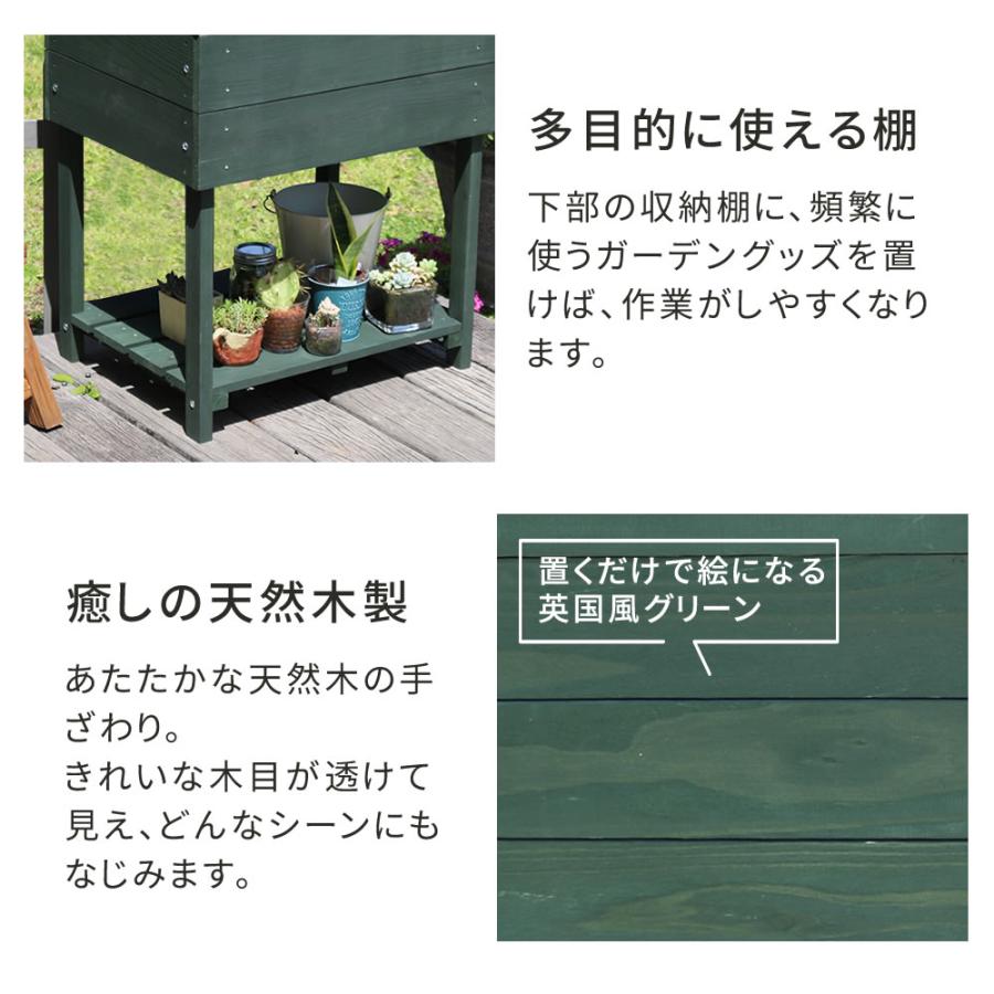 木製窓付グリーンハウス 温室 木製 観葉植物 庭 ガーデン 簡易温室 プランターラック コレクションケース ディスプレイ ボタニカルラック_10