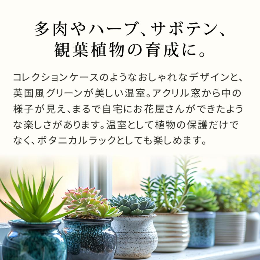 木製窓付グリーンハウス 温室 木製 観葉植物 庭 ガーデン 簡易温室 プランターラック コレクションケース ディスプレイ ボタニカルラック_3