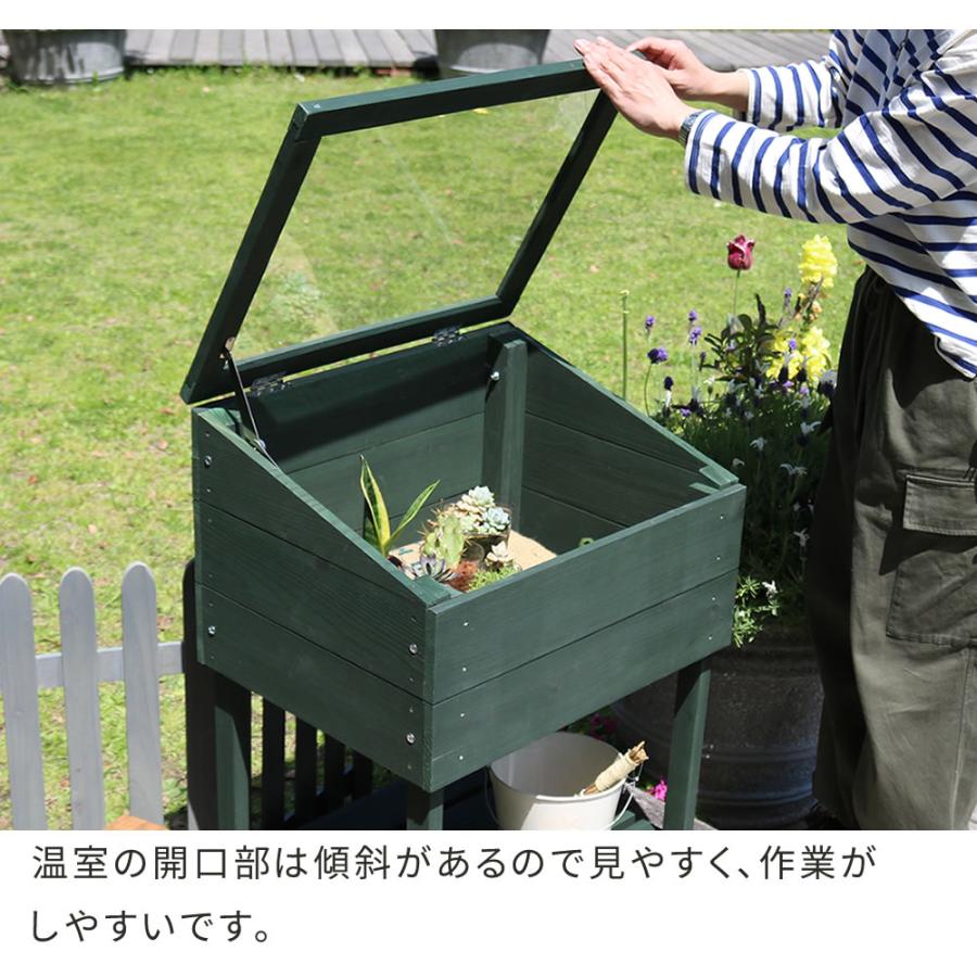 木製窓付グリーンハウス 温室 木製 観葉植物 庭 ガーデン 簡易温室 プランターラック コレクションケース ディスプレイ ボタニカルラック_6