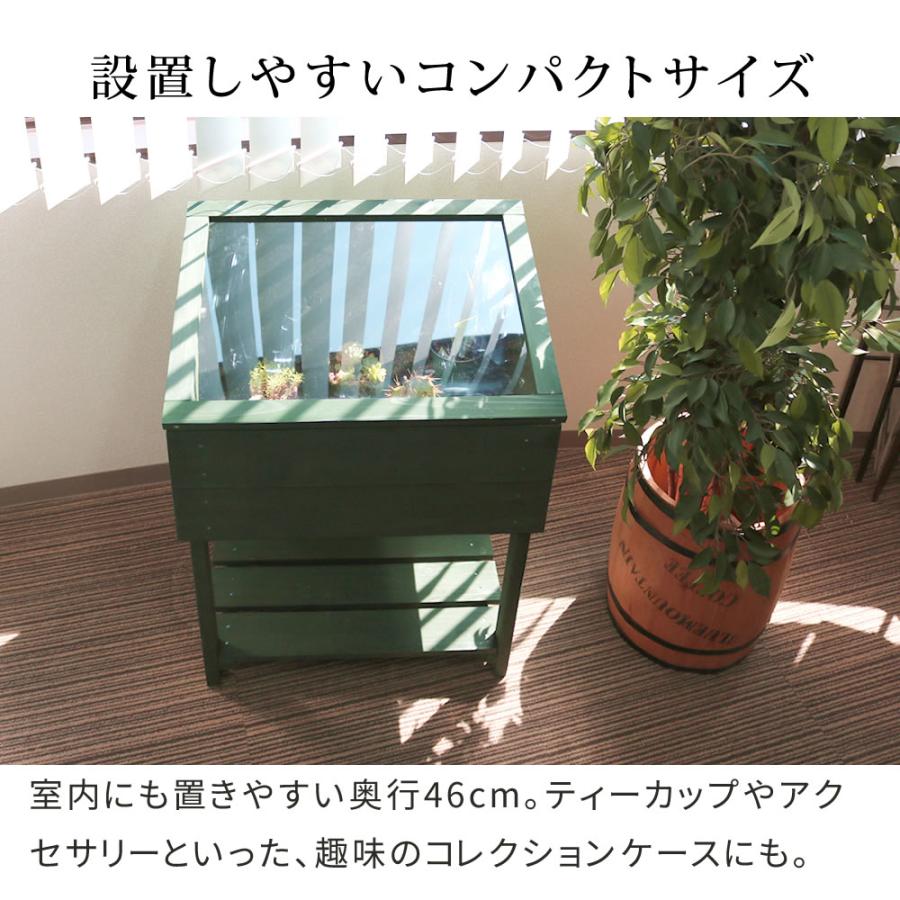 木製窓付グリーンハウス 温室 木製 観葉植物 庭 ガーデン 簡易温室 プランターラック コレクションケース ディスプレイ ボタニカルラック_8