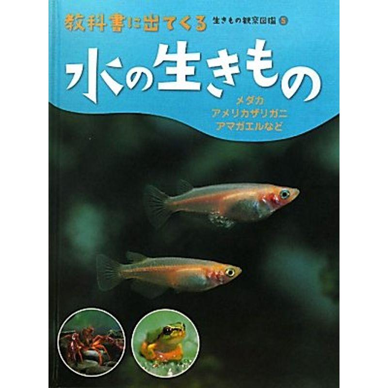 水の生きもの メダカ アメリカザリガニ アマガエルなど 教科書に出てくる生きもの観察図鑑 ワンダフルスペース本店 通販 Yahoo ショッピング