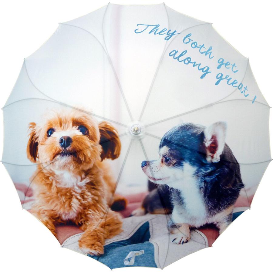 ★ANTEPRIMA★レア！アンテプリマ 傘 キラキラ プードル 犬 折り畳み傘 ☆ANTEPRIMA☆レア！アンテプリマ 傘 キラキラ プードル 犬