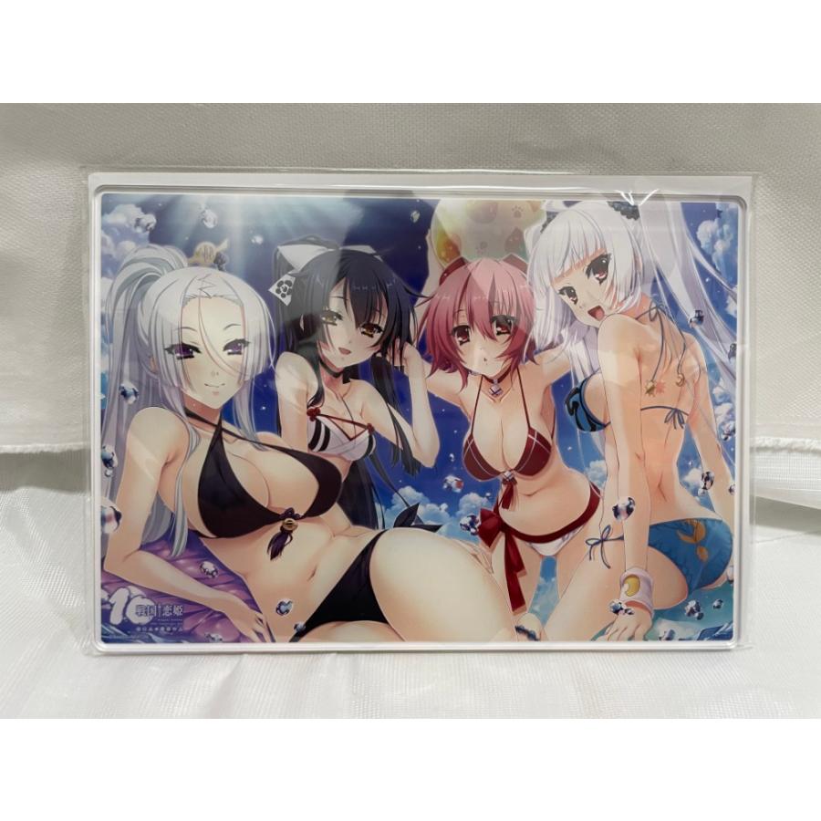 中古】【未開封】集合 オリジナルアクリルパネル 「PCソフト 戦国†恋姫